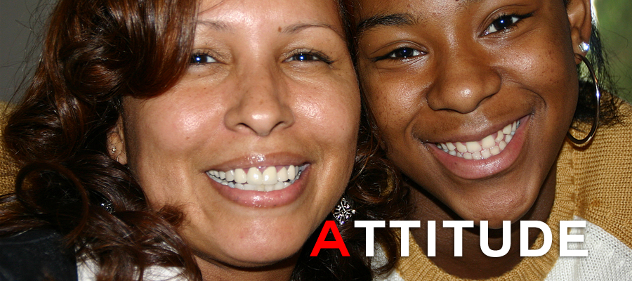 Attitude